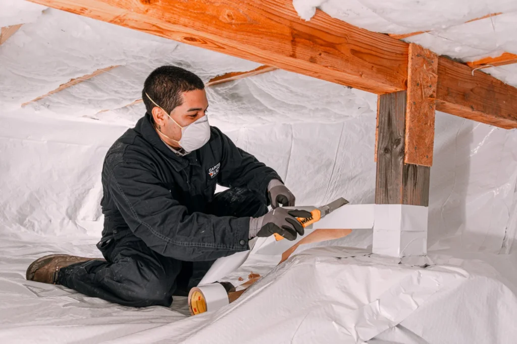 Factors that Affect the Cost of Crawl Space Cleaning