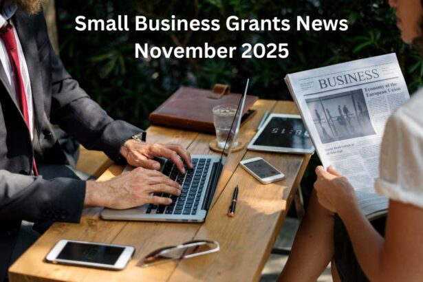 How to Apply for Small Business Grants News November 2025?