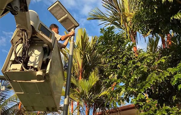 Self Cleaning Street Light Palm Oil Project: A Smart Solution for Modern Cities