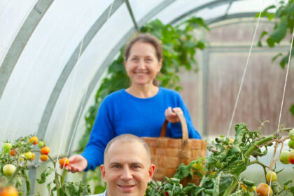 Recolector de Frutas y Legumbres: Guía Completa para Elegir el Mejor para tu Huerto