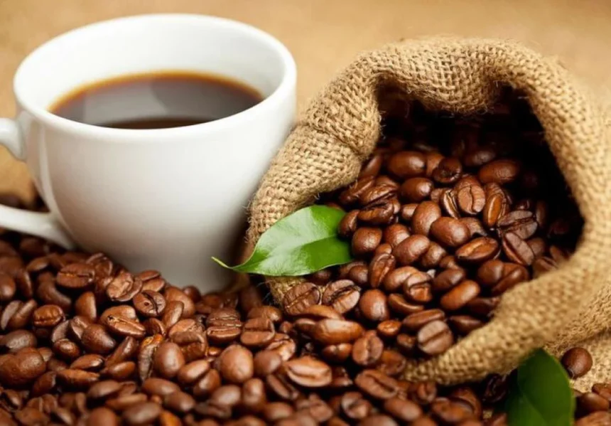 Yemen Al Qafr Hawari Coffee: Discover the Rich Flavor of a Hidden Gem