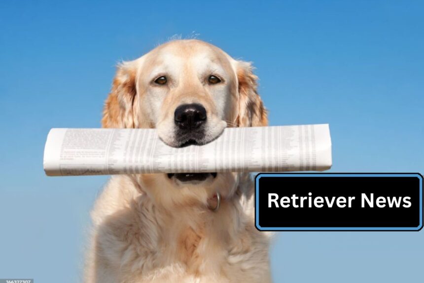 The Ultimate Guide to Retriever News for Dog Owners