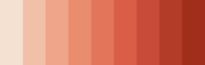 Warm nude
