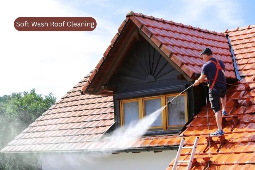 Best Soft Wash Roof Cleaning Near Me